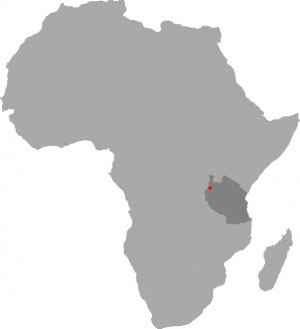 Karte mit Kibwigwa - Dorf im Nordwesten Tansanias